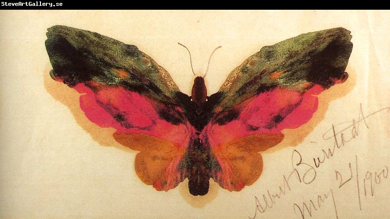 Albert Bierstadt Butterfly